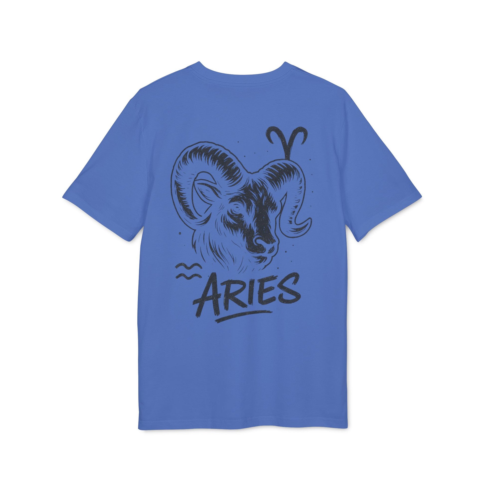 LIONSHEART™ ARIES - Fire Reign T-Shirt